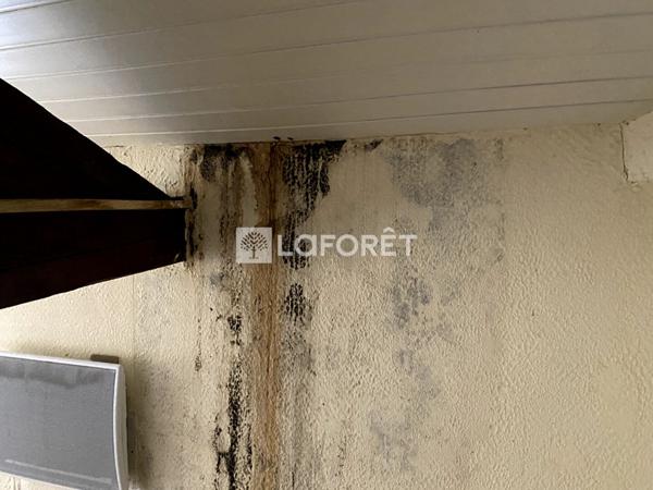 Achat immeuble Saint-Martin-d'Estréaux - 165 m² - 85 000 €