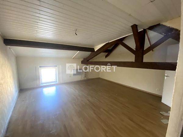 Achat immeuble Saint-Martin-d'Estréaux - 165 m² - 85 000 €