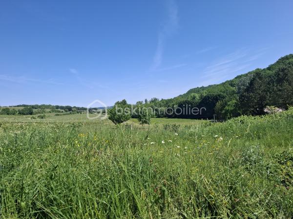 Située sur la commune de Pessac-sur-Dordogne, cette maison à terminer offre un beau potentiel d'aménagement dans un environnement calme et verdoyant.

Le bien développe actuellement une surface d'environ 160 m² sur un terrain de 2345 m², offrant de belles possibilités d'aménagement extérieur.
Le bien dispose également de deux chemins d'accès, un atout pratique et fonctionnel.

La maison se compose d'une structure mixte, alliant ossature bois et parpaing, permettant à la fois confort et solidité. Les plans actuels prévoient la possibilité d'aménager jusqu'à 4 chambres, idéales pour une résidence principale familiale ou un projet secondaire.

Les propriétaires avaient demandé un permis de construire, accepté en 2023, autorisant un agrandissement de 60 m², portant la surface totale potentielle à environ 220 m². Des plans réalisés par un architecte sont disponibles et seront mis à disposition des acquéreurs.

Vous serez séduit par la vue dégagée et exceptionnelle sur la campagne environnante. De grandes ouvertures modernes, notamment des baies vitrées, permettent de profiter pleinement de ce panorama, apportant luminosité et sensation d'espace à l'ensemble.

Localisation idéale :
À mi-chemin entre Castillon-la-Bataille et Sainte-Foy-la-Grande
À seulement 35 minutes de Libourne

La commune dispose de commerces de proximité et services essentiels : restaurant, supérette, bureau de tabac, point poste, ainsi qu'une école élémentaire.

Des prises de vue vidéo sont disponibles sur demande, pour vous permettre de découvrir plus en détail ce bien et son environnement.

Un bien rare pour les amateurs de projets, alliant potentiel, environnement privilégié et cadre de vie agréable. À découvrir sans tarder !