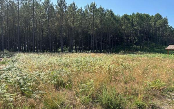 Terrain à vendre    Vielle-Saint-Girons