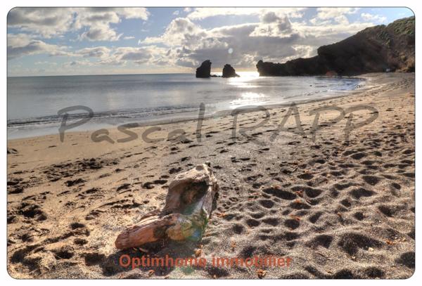 Appartement T2, à Proximité de la Plage de la Grande Conque