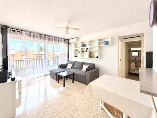 Au cœur du quartier de Capitou, dans une résidence soignée avec ascenseur, découvrez ce T2 de 37 m² offrant un cadre de vie agréable, à proximité des commerces et des commodités.

L’appartement se compose d’une pièce de vie lumineuse avec cuisine équipée ouverte sur le séjour. Cet espace convivial se prolonge par un balcon de 7 m², idéale pour prendre un café, partager un repas ou profiter d’un moment de détente en extérieur. La climatisation apporte un confort appréciable lors des journées les plus chaudes.

La partie nuit comprend une chambre avec placard intégré, une salle de bains et des WC séparés. Une cave complète le bien et offre un espace de rangement supplémentaire.

Son emplacement permet de rejoindre à pied les commerces, services et transports, pour un quotidien pratique. Le quartier bénéficie également des récents aménagements de végétalisation de la commune, qui contribuent à embellir son environnement.

Pour une première acquisition, un pied-à-terre sur la Côte d’Azur ou un investissement locatif, cet appartement réunit de nombreux atouts recherchés : luminosité, terrasse, climatisation, ascenseur, cave et proximité des commodités.

Une belle opportunité à découvrir à Mandelieu-la-Napoule.

📞 Informations et visites : 06 69 66 17 19