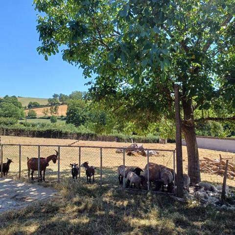 Idéalement située dans la charmante commune de Goutrens à 5mn de Rignac et 10mn de Saint-Christophe-Vallon, cette propriété offre un cadre de vie paisible et authentique, idéal pour les amoureux de la nature.
