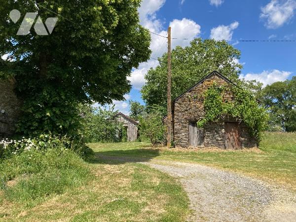Maison entièrement à rénover avec ensemble de dépendances sur 4145m² de terrain. Idéal investisseur.
