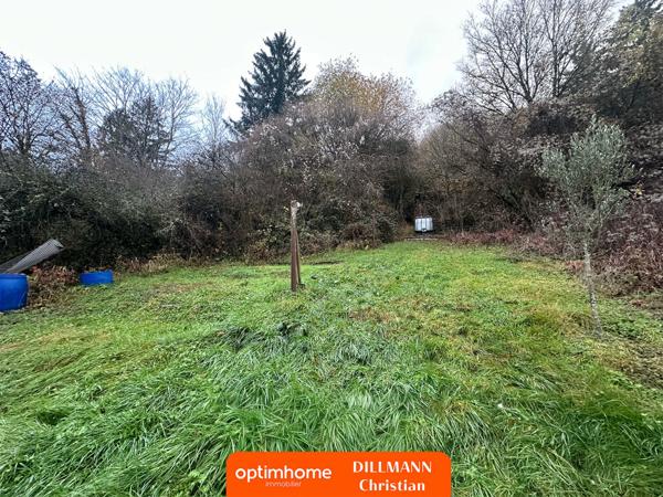 Coquette maison jumelée