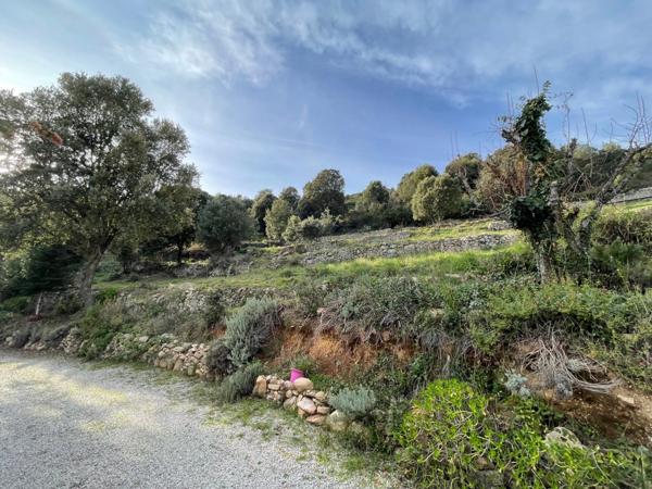 Corse du Sud - Porticcio, Villa contemporaine de 265 m2