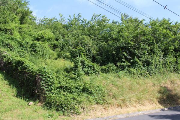 20064 - Beau terrain à bâtir