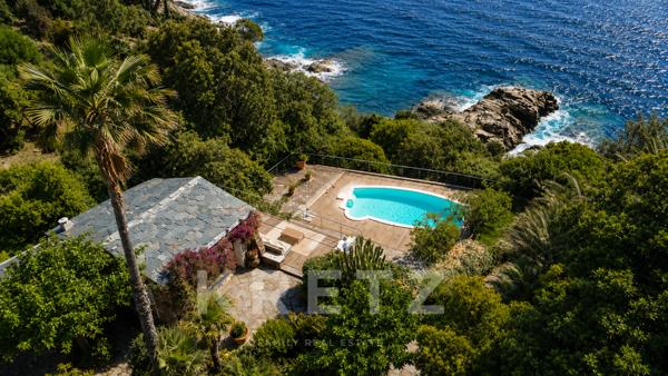 Villa Pieds dans l'eau - Piscine et crique privée