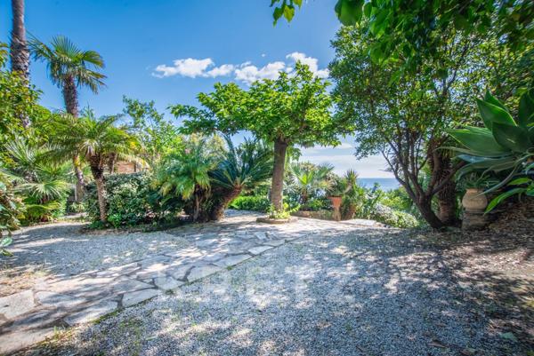 Villa Pieds dans l'eau - Piscine et crique privée