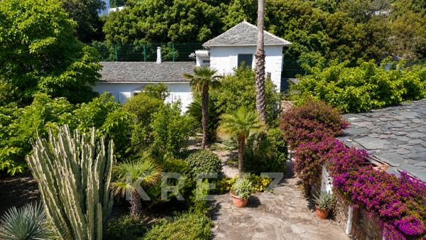 Villa Pieds dans l'eau - Piscine et crique privée
