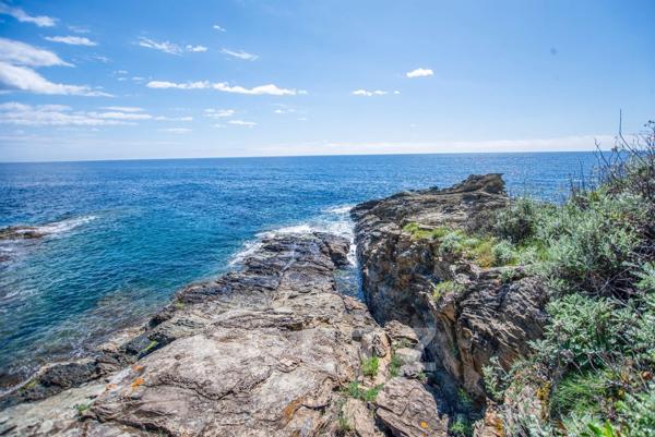 Villa Pieds dans l'eau - Piscine et crique privée