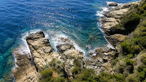 Villa Pieds dans l'eau - Piscine et crique privée