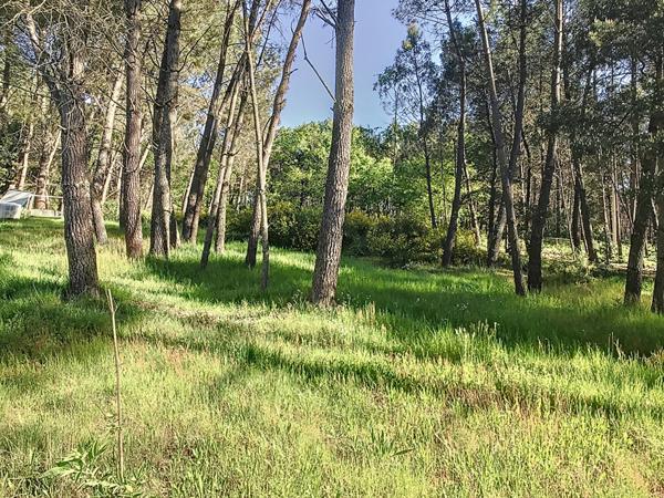 Longue Jumelles - Maison rénovée 127m²