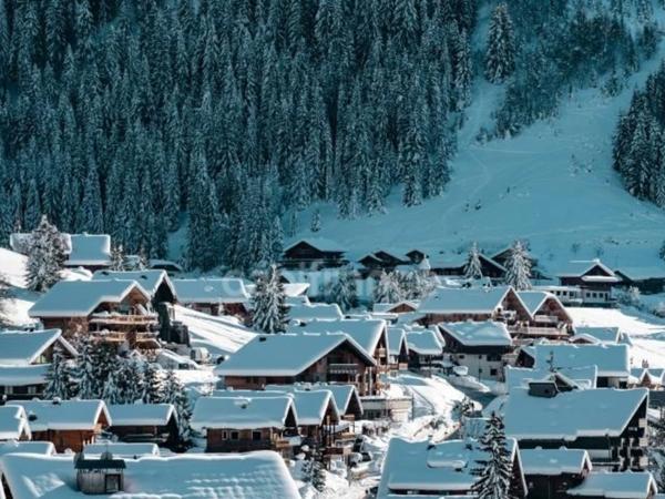 Appartement Standing à vendre 5 pièces CHATEL (74)