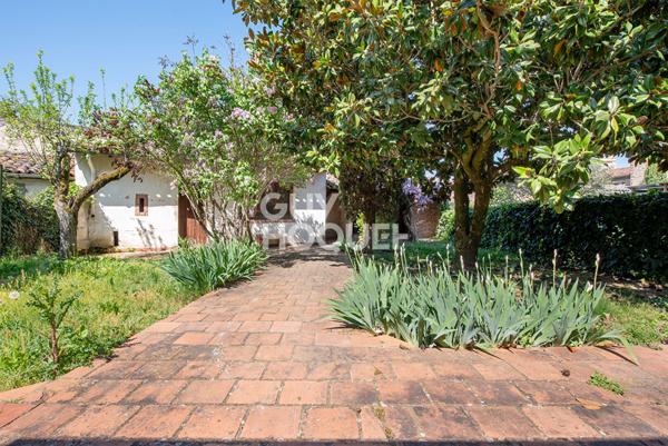 Maison Albi 9 pièce(s) 280 m2