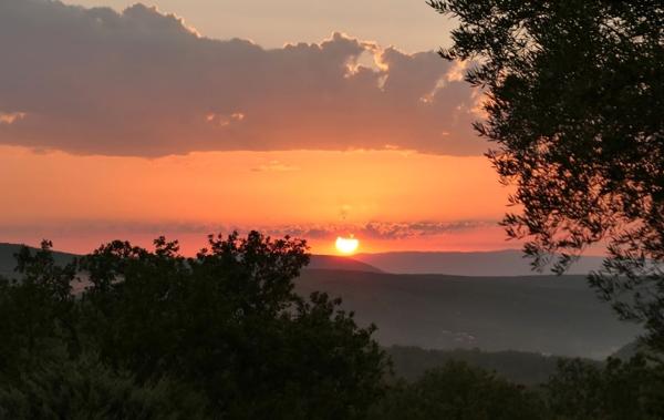 Vente Propriété Goudargues   