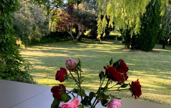 Vente Propriété Goudargues   