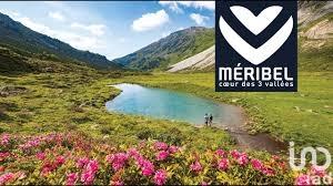 Appartement à vendre 4 pièces 74 m² Les Allues