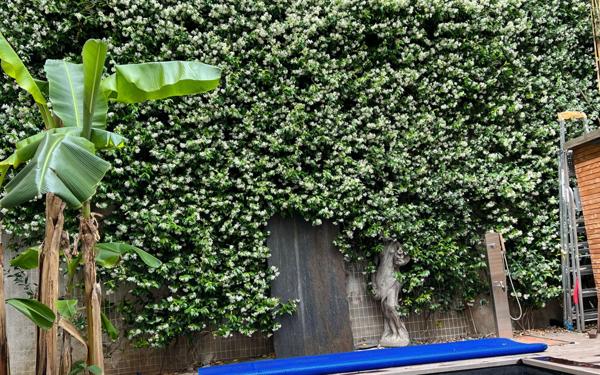 Appartement à vendre    4 pièces • 153 m2 La Rochelle