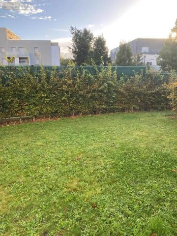 Location - Appartement Saint-Étienne-du-Rouvray 76800 3 pièces 63 m 2