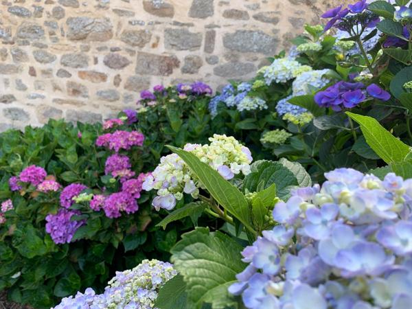 Vente Maison de luxe Lorient 19 Pièces 400 m²