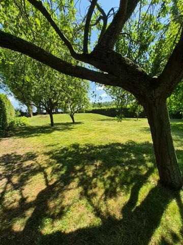 Maison à vendre 6 pièces 116m² Estourmel (59400)