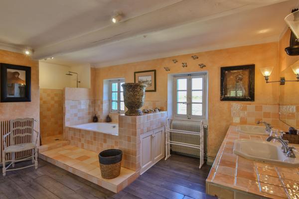 Vente Maison de luxe L'Isle-sur-la-Sorgue 15 Pièces 672 m²