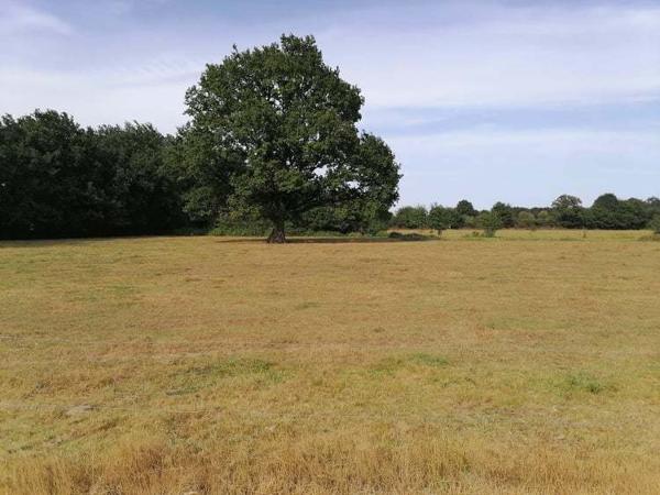 Maison 5 pièces 118m2 sur sous-sol