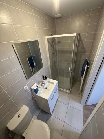 Appartement La Roche-sur-foron 2 pièce(s)