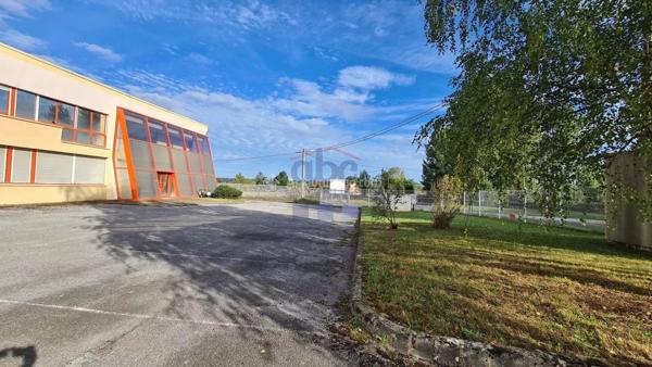 Location Bureau 31 pièces 1062 m2 à Albi