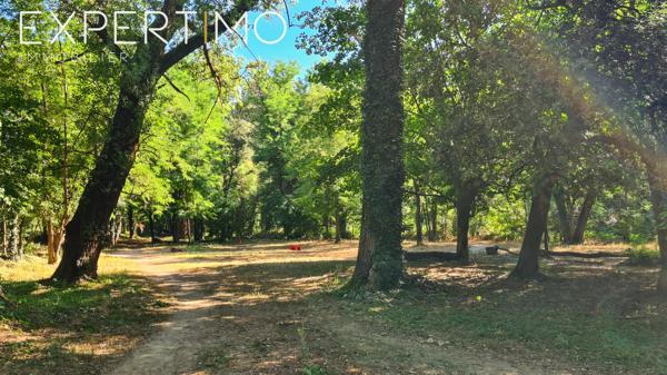 Manoir d'une superficie habitable de 338 m² avec dépendances sur un terrain de 3,6 hectares