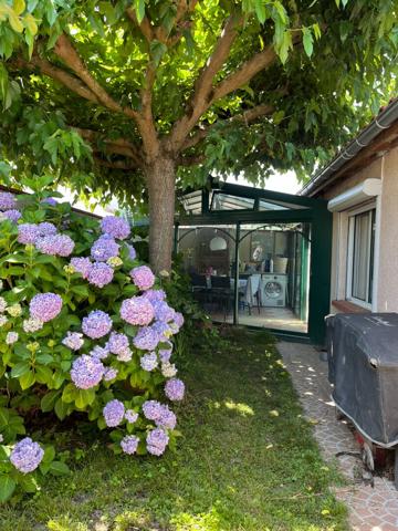 Maison T5/6 - Plaisance-du-Touch-Piscine