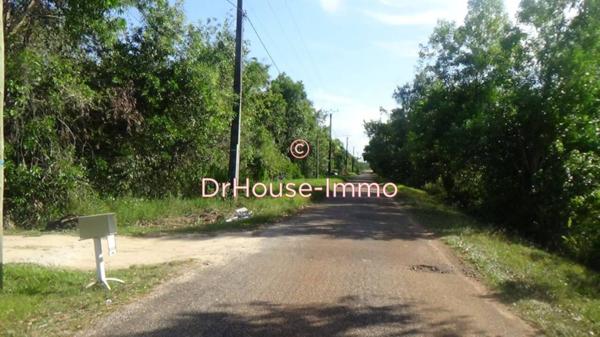 Terrain à vendre de 15 000 m²