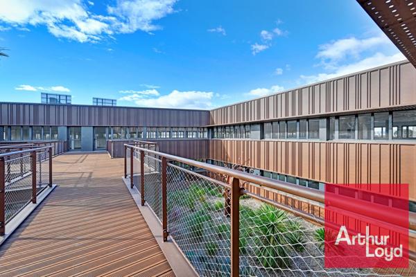 Bureaux neufs à louer à Mauguio patio végétalisé et divisible dès 589 m²