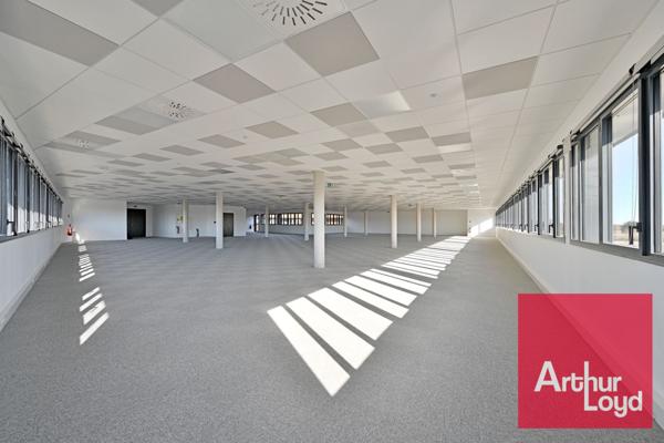 Bureaux neufs à louer à Mauguio patio végétalisé et divisible dès 589 m²