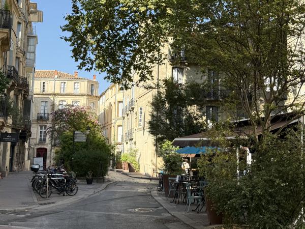 Montpellier (34000) Montpellier – Écusson - Canourgue - Vaste terrasse dans un écrin de verdure - Duplex d’exception