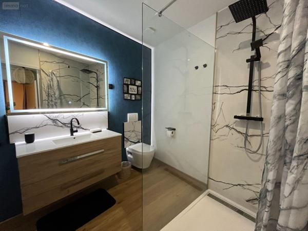 Maison individuelle à vendre à Villedieu-sur-Indre dans l'Indre (36320), ref : 36004/317