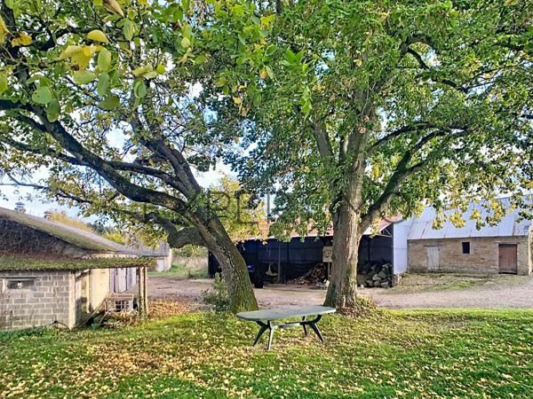 Vendes (14250) CADRE BUCOLIQUE ET MAISON RÉNOVÉE!