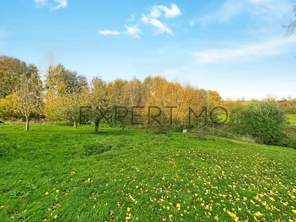 Vendes (14250) CADRE BUCOLIQUE ET MAISON RÉNOVÉE!