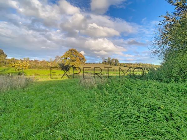 Vendes (14250) CADRE BUCOLIQUE ET MAISON RÉNOVÉE!