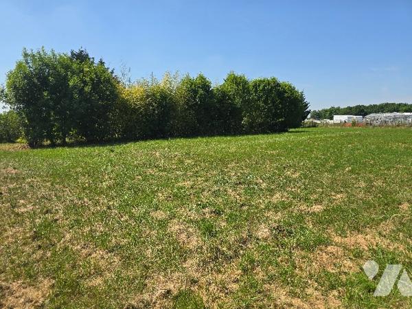 Terrain à bâtir de 1999 m2