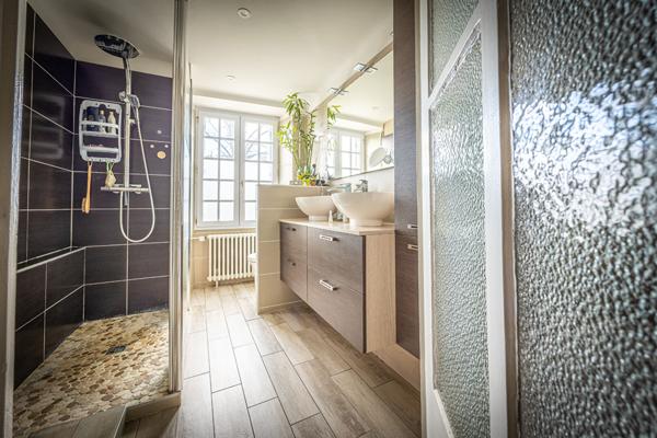 Propriété d'exception avec gîte, dépendances et étang privé à 6 min de Niort!