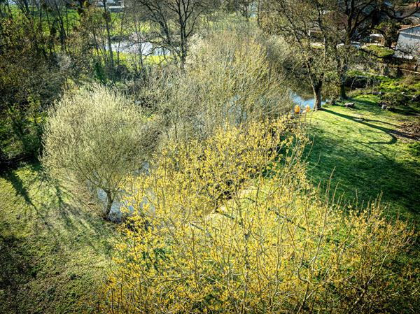 Propriété d'exception avec gîte, dépendances et étang privé à 6 min de Niort!