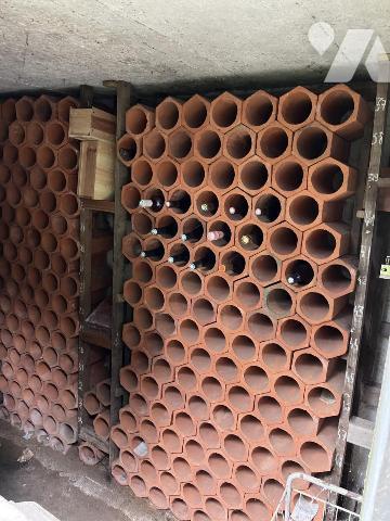 Maison nichée au coeur d'une végétation luxuriante