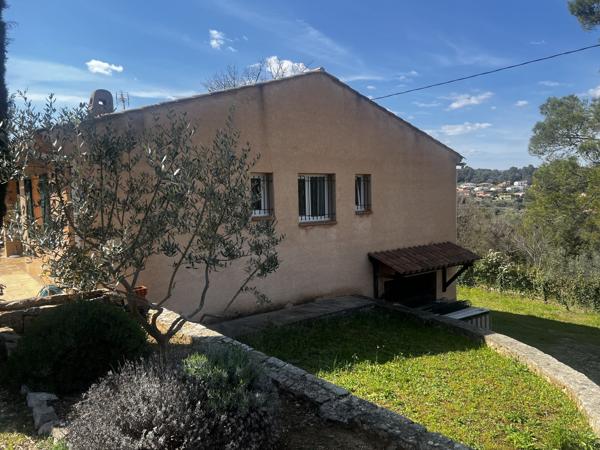 Belle Provencale  Traditionnelle