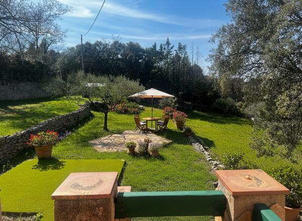 Belle Provencale  Traditionnelle