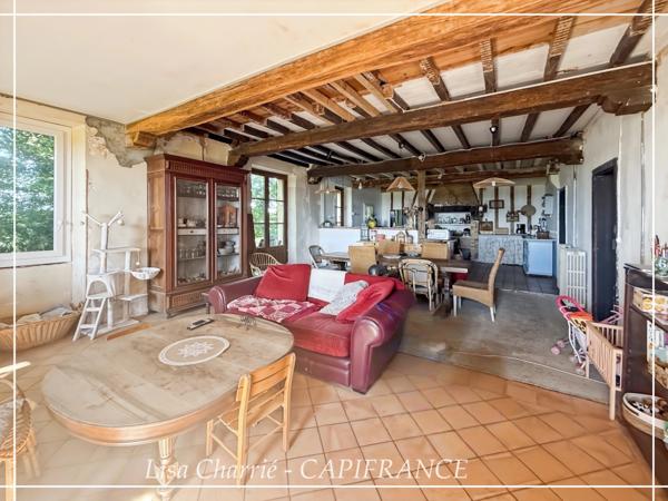 Propriete à vendre 11 pièces de 406 m2 habitables au total, avec dépendance sur 5261 m2 proche de NOGARO (32)