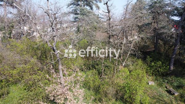 Maison 8 pièces - 300 m²