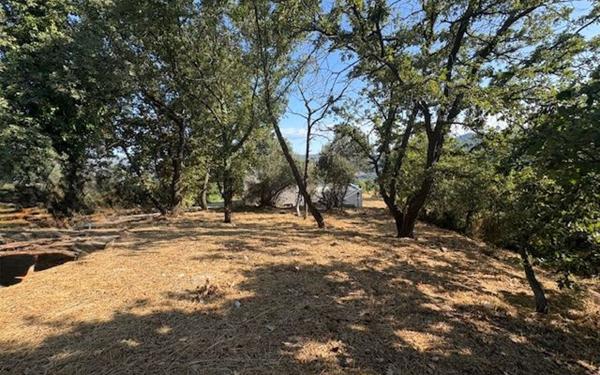 Terrain à vendre    Berre-les-Alpes