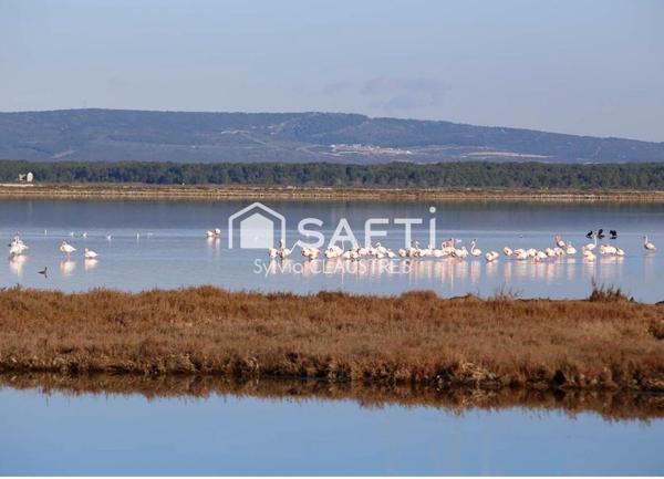 À VENDRE  FOND DE COMMERCE -  HOTEL BUREAU **  LITTORAL HERAULT